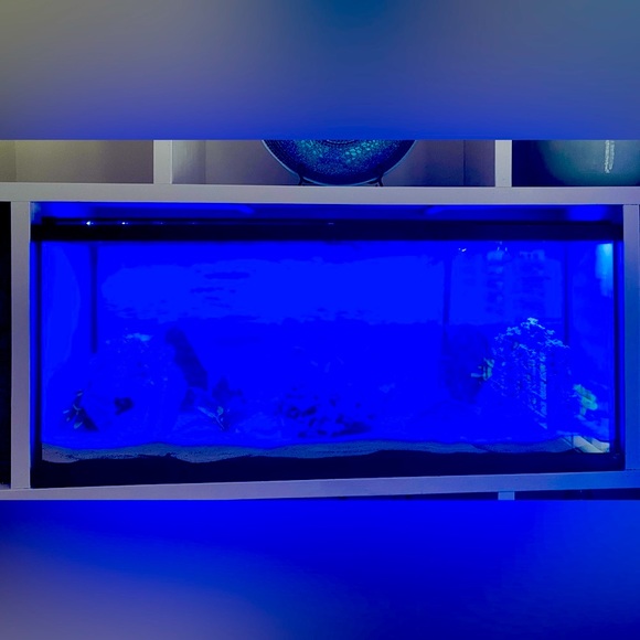 Aquarium Masters LED light for aquarium - Picture 8 of 9